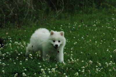 June12_05_597.JPG