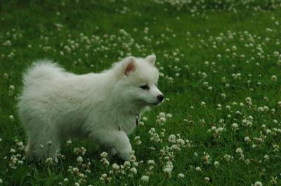 June12_05_598.JPG