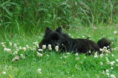 June12_05_599.JPG