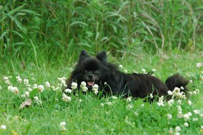 June12_05_601.JPG