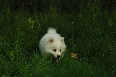 June12_05_631.JPG