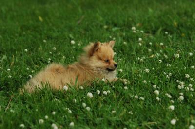 June12_05_636.JPG