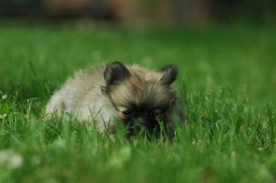 June12_05_643.JPG