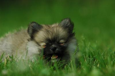 June12_05_644.JPG