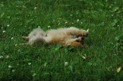 June12_05_653.JPG