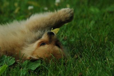 June12_05_656.JPG