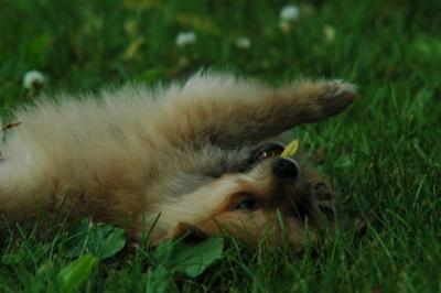 June12_05_657.JPG