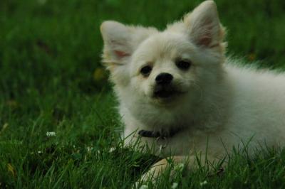 June12_05_658.JPG