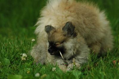 June12_05_663.JPG