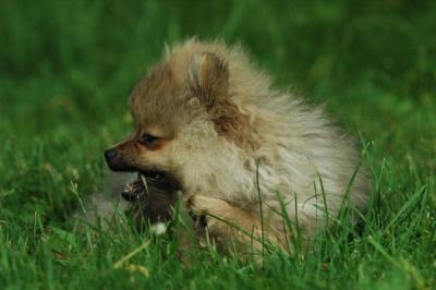 June12_05_667.JPG