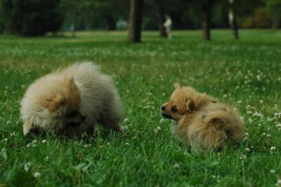 June12_05_697.JPG