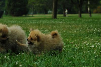 June12_05_698.JPG