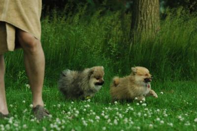 June12_05_737.JPG