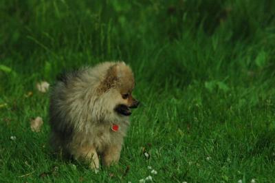 June12_05_739.JPG