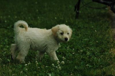June12_05_744.JPG