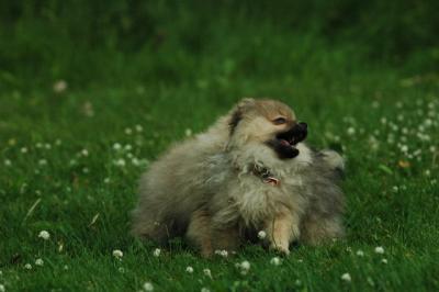 June12_05_753.JPG