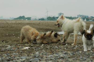 June12_05_050.JPG