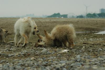 June12_05_051.JPG