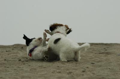 June12_05_116.JPG