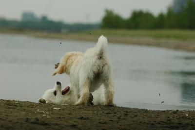 June12_05_160.JPG