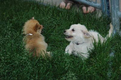 June14_05_004.JPG