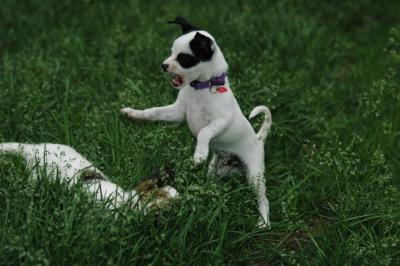 June14_05_006.JPG