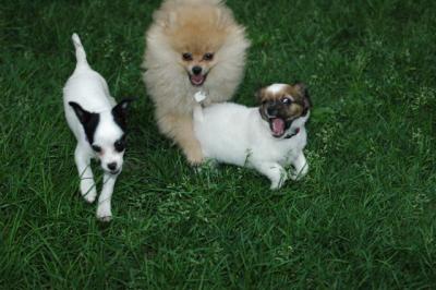 June14_05_008.JPG