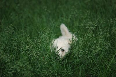 June14_05_012.JPG