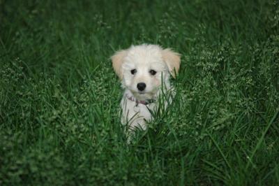 June14_05_013.JPG