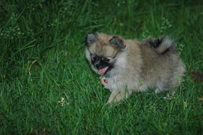June14_05_016.JPG