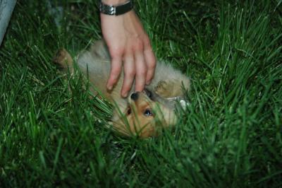 June14_05_018.JPG