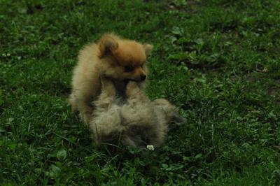 June16_05_189.JPG