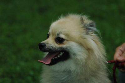June16_05_205.JPG