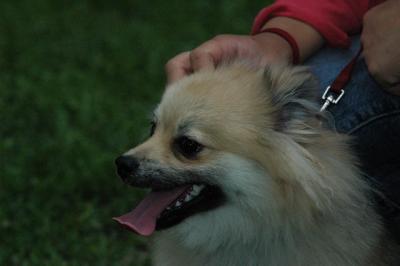 June16_05_208.JPG