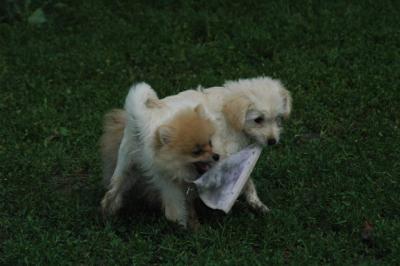 June16_05_236.JPG