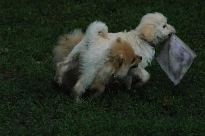 June16_05_237.JPG