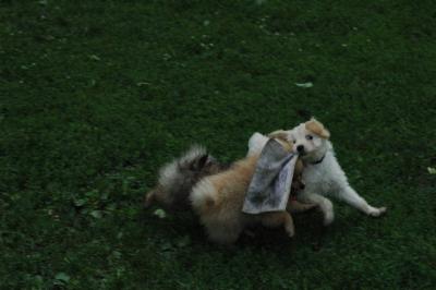 June16_05_239.JPG