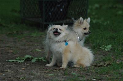 June16_05_264.JPG