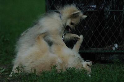 June16_05_272.JPG