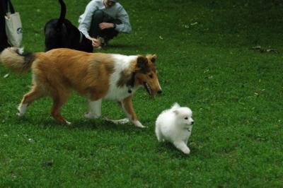 June16_05_298.JPG