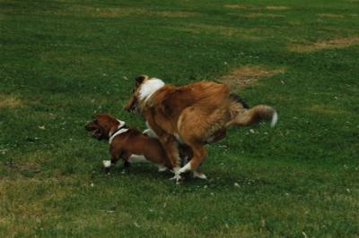 June16_05_304.JPG