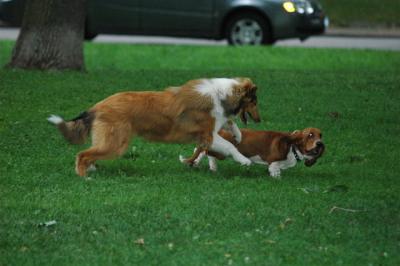 June16_05_305.JPG