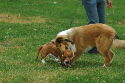 June16_05_306.JPG