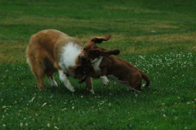 June16_05_309.JPG