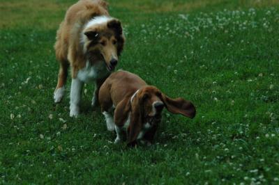June16_05_310.JPG