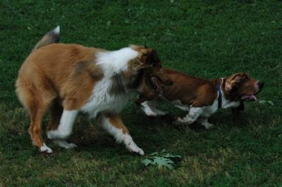 June16_05_311.JPG