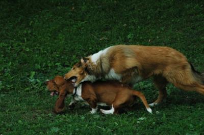June16_05_312.JPG