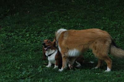 June16_05_313.JPG