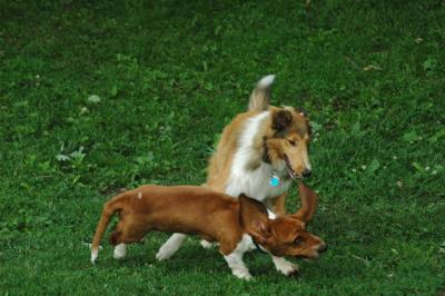 June16_05_314.JPG