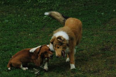 June16_05_315.JPG